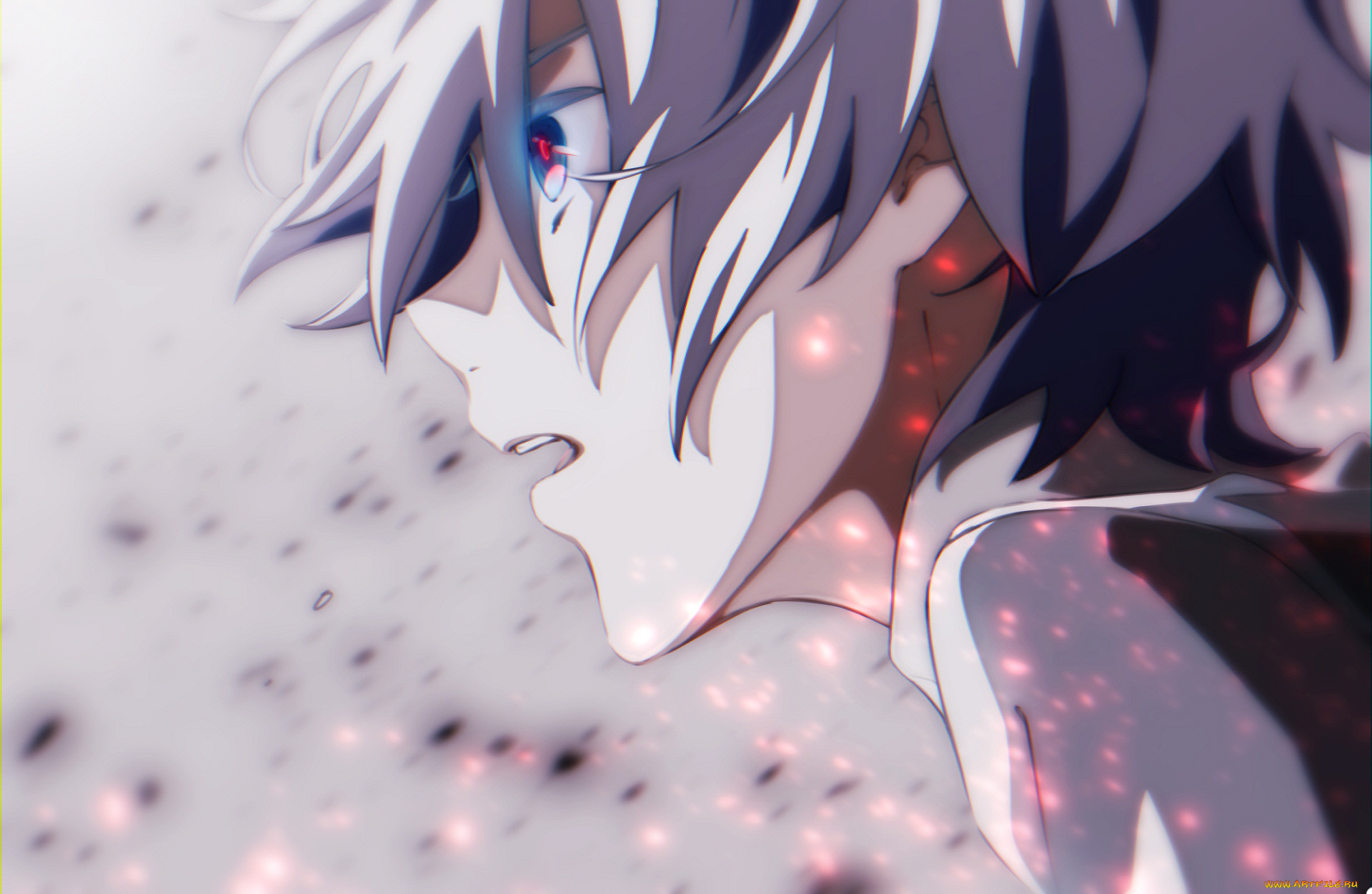 , darling in the frankxx, darling, in, the, frankxx, , , , 